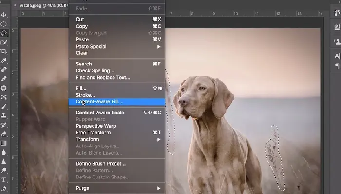 Content-Aware Fill
