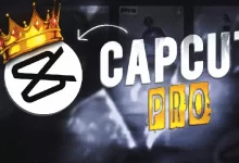 Cupcut Pro