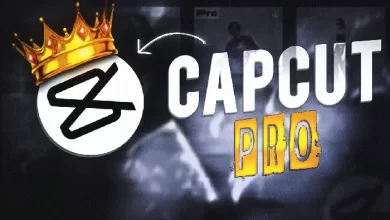 Cupcut Pro