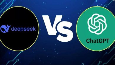 DeepSeek