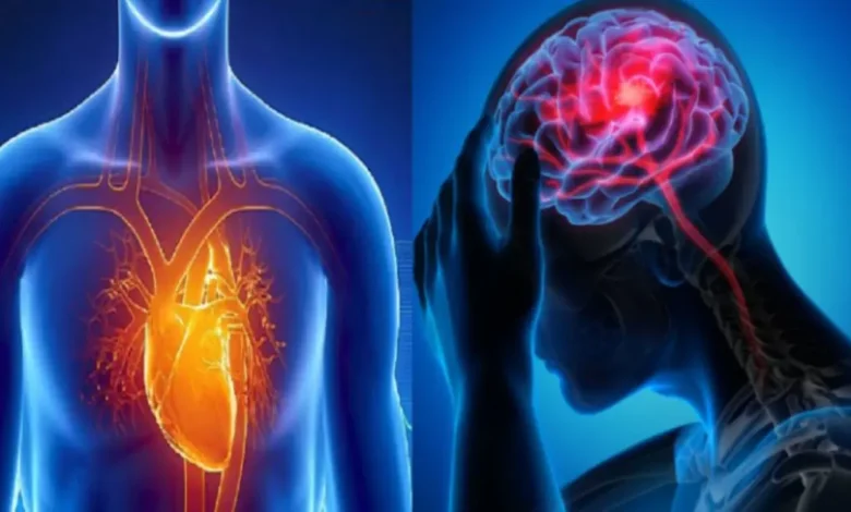 7 ways to reduce the risk of stroke