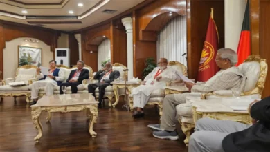 bnp-delegation-meets-with-chief-advisor