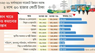 development-expenditure-allocation-decreased