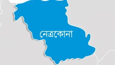 Uncle murdered by nephew in Netrakona